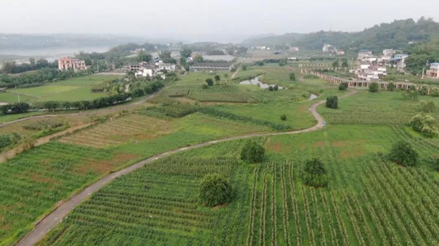 合江：开种门，迎春耕啦！(图7)