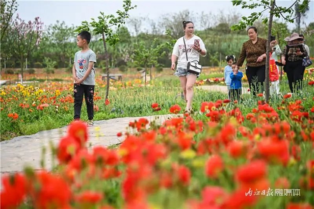 一年四季都有花赏，隆昌这个景区太安逸了！(图13)