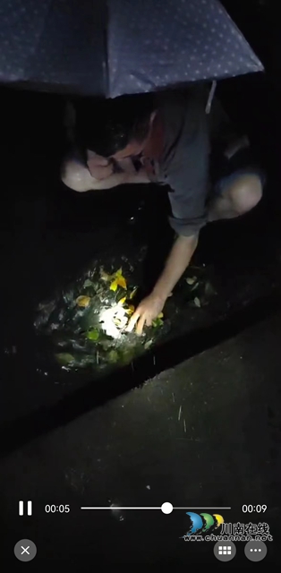 龙马潭区综合行政执法局：暴雨袭城，市政工人挑灯夜战紧急排险(图2)