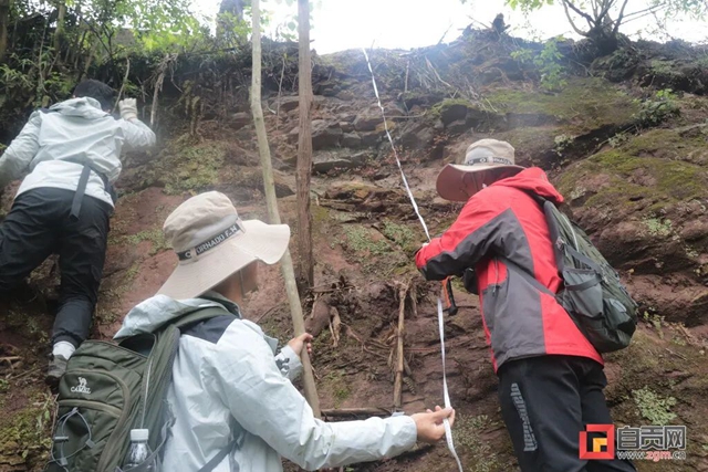 惊喜！自贡新发现恐龙化石14处，有望与大山铺相媲美(图1)