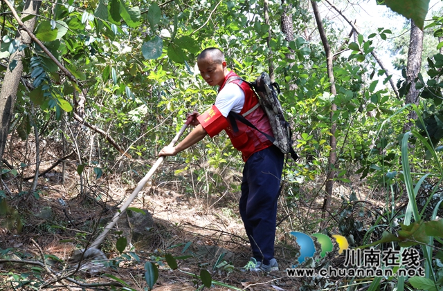 何勇正在清理林下干燥物 胡晓霞摄.JPG