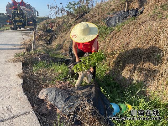 泸县云龙镇:不畏骄阳迎“烤”验,全力以赴保丰收(图3) b0cd87458684d00f2c3248fcad636ed.jpg