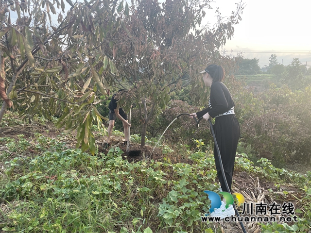 泸县云龙镇:不畏骄阳迎“烤”验,全力以赴保丰收(图2) a0f01a41b51dde15496e742b7adf765.jpg