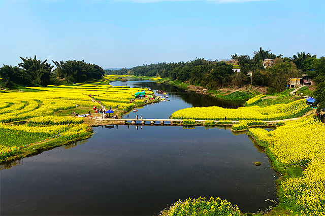 最高25℃！约~宜宾周边春游赏花