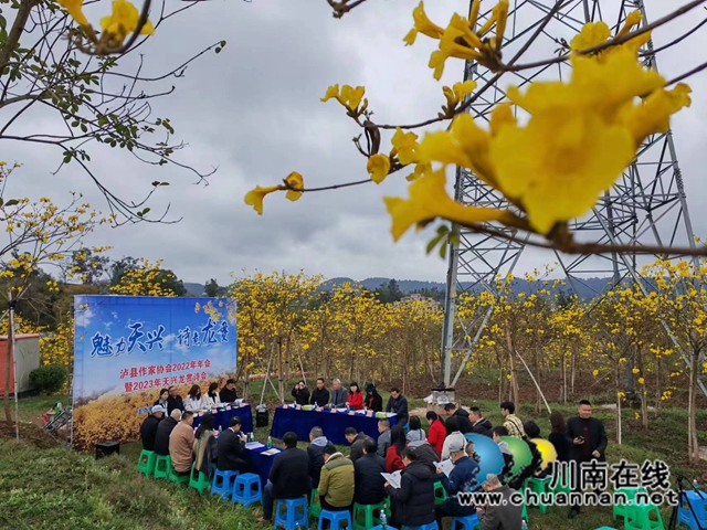 泸县作家协会2022年年会暨2023年天兴龙贯诗会举行