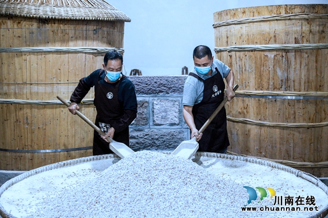 2024年3月23日，四川省泸州市合江县先市酱油作坊里，工人在用面粉拌和大豆。.jpg