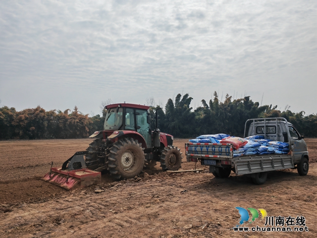 泸县：推广全程机械化种植玉米示范面积近万亩