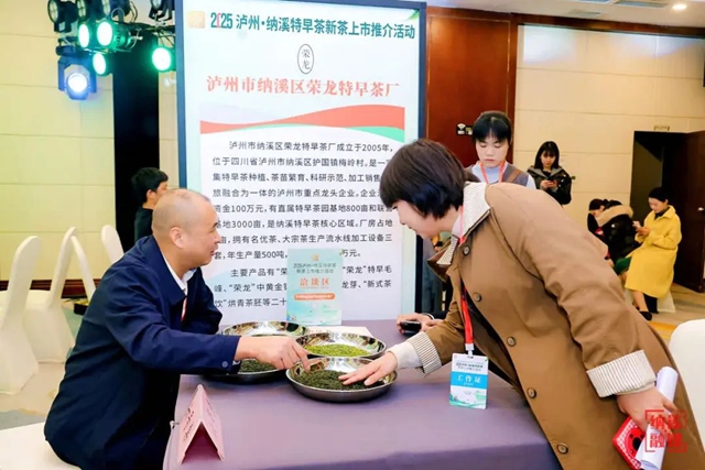 泛亚电竞共品中国春天的第一杯茶｜2025泸州·纳溪特早茶新茶上市推介活动在成都举行(图4)
