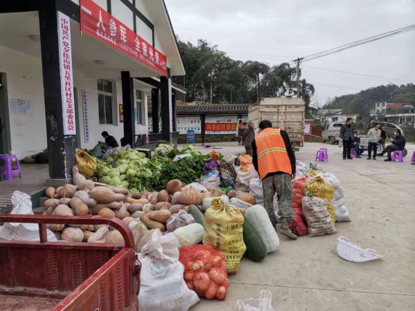 夕佳山镇的村民积极踊跃捐献自己蔬菜。（宜宾新闻网 勾丽蓉 摄）