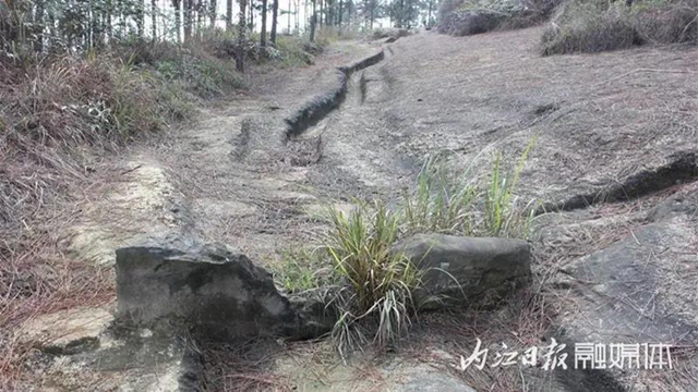 4-200526103230492.jpg