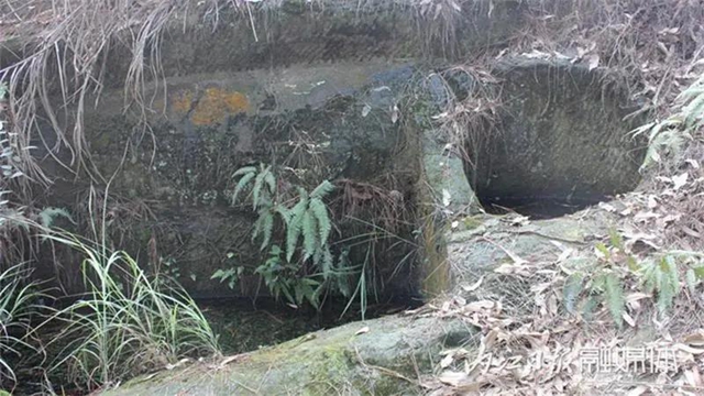 4-200526103GN55.jpg