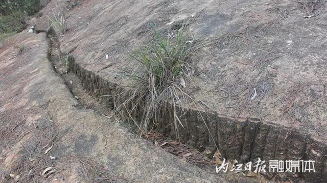 4-200526103JG00.jpg