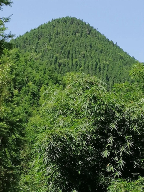 隆昌深山藏了一个“长寿之乡”，带你领略那些秘密与传说！