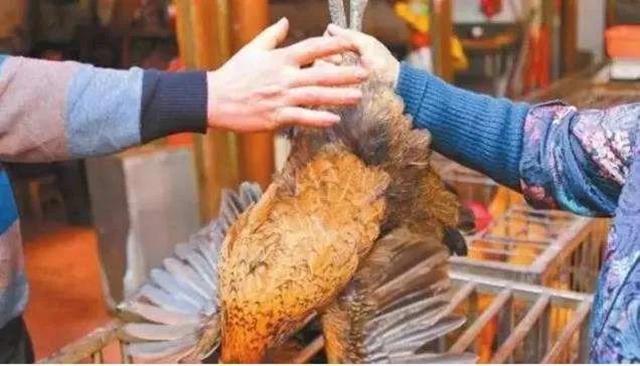 自贡中心城区拟全面禁止活禽市场交易