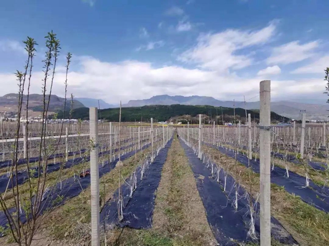 四川发布城市“气质”排名，你家乡表现如何？(图4)