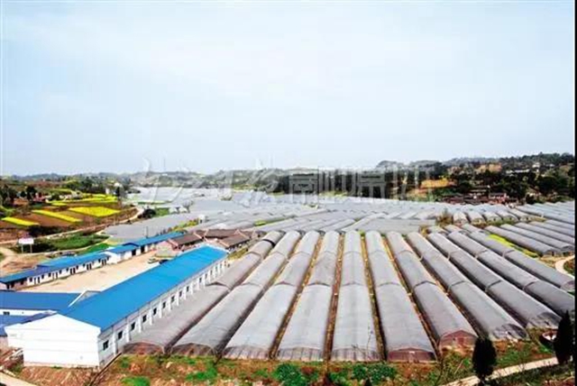 全省领先！内江3个省级农业科技园获评优秀园区(图1)