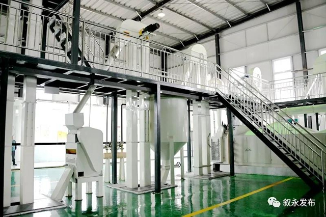 四川最大丨叙永县精炼油茶加工基地建成投用(图1)