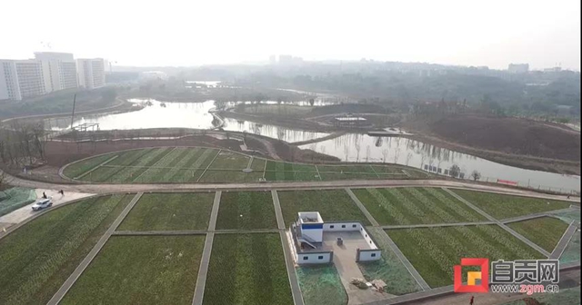 自贡又要多一个湿地公园！(图2)