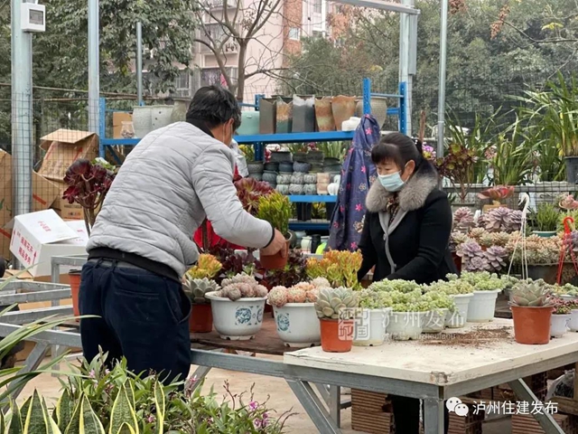 升级回归丨泸州羊大山花卉市场重新开业了(图4)