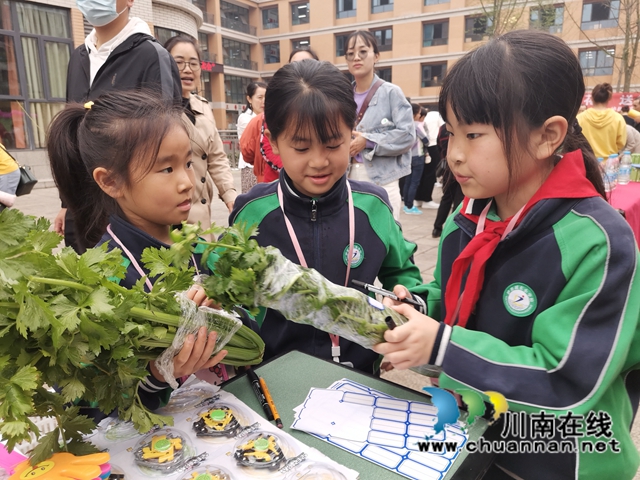 泸县：师生种出有机菜 义卖捐赠一份爱(图2)