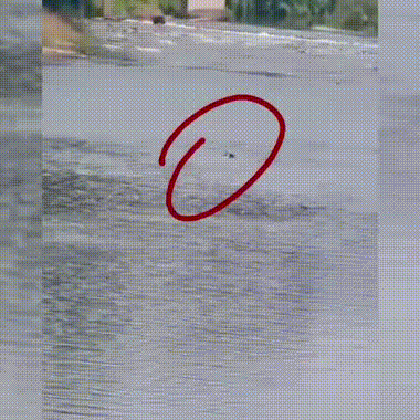 宜宾教师李屈波，你火了！