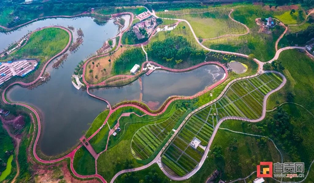 占地超50万平方米！自贡新添一座“高颜值”湿地公园(图9)
