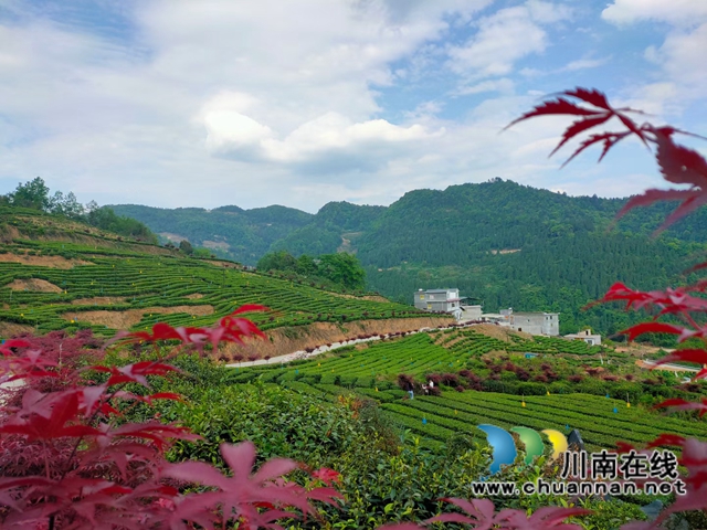 古蔺：生态环境保护忙，苗乡处处气象新(图1)