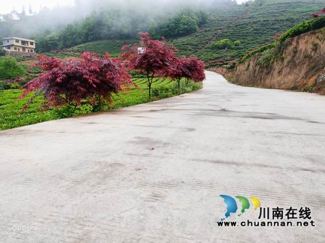 古蔺：生态环境保护忙，苗乡处处气象新(图3)