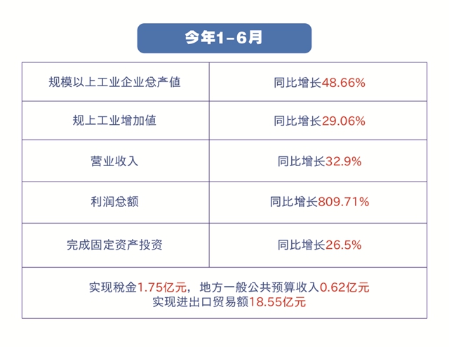 自贸区川南临港片区半年成绩单(图2)