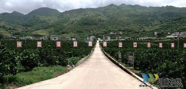 省扶贫基金会泸州分会赴古蔺调研指导产业扶贫“栋梁工程”工作(图5)