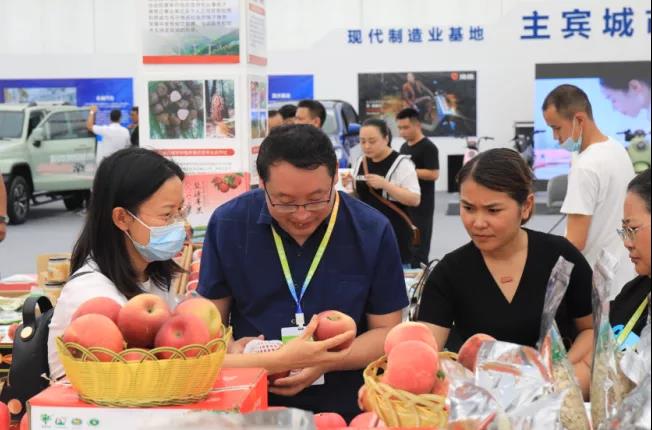 第九届中国（泸州）西南商品博览会开幕(图6)