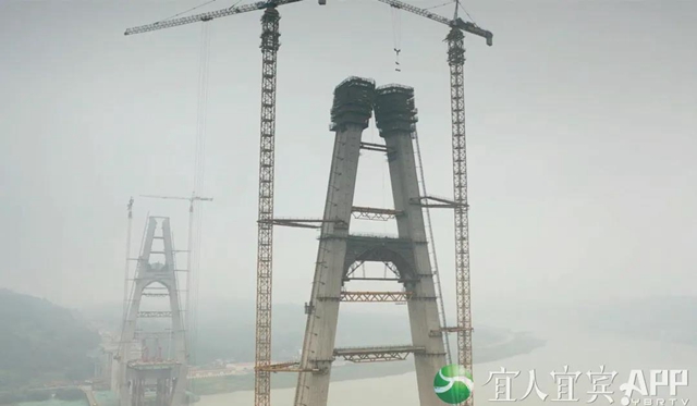 高250.8米！宜宾这座大桥10月实现主塔封顶(图3)
