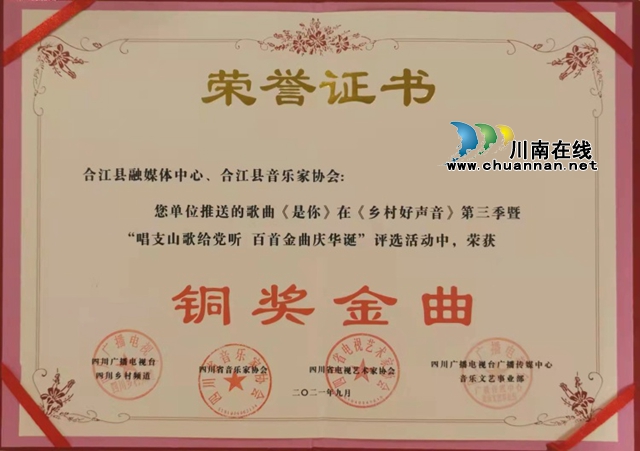 合江县新联会会员原创歌曲《是你》荣登第三季乡村好声音颁奖盛典(图1)