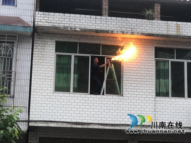 为民除害！合江县应急局联合县消防队烧毁5个马蜂窝(图3)