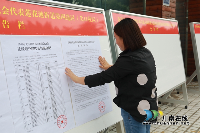 龙马潭区扎实做好区镇两级人大换届选举选民登记工作(图2)