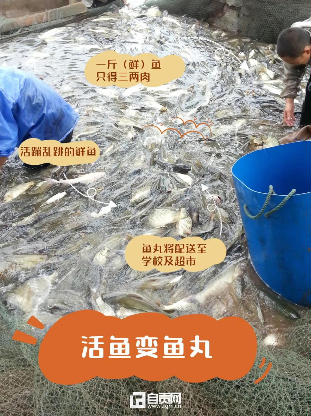 瞄准市场空白，自贡这家企业把鱼做出“新花样”！(图1)