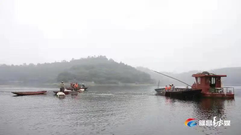 场面震撼！隆昌古宇湖大捕鱼、捕大鱼(图2)