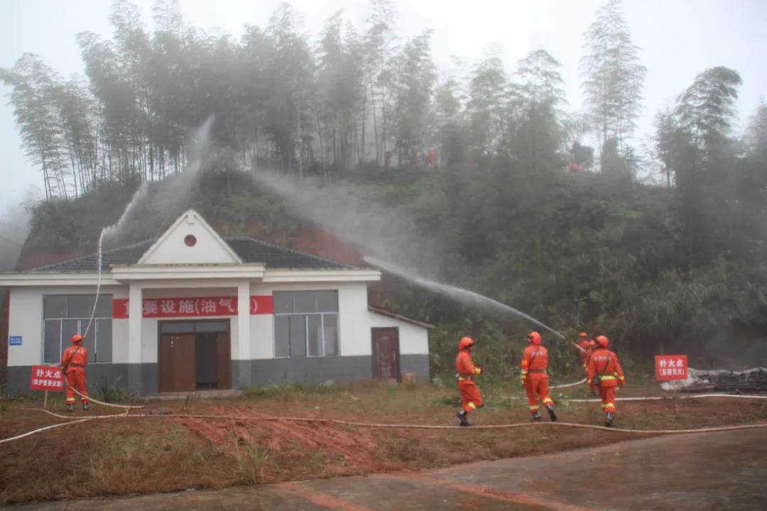 泸州市开展国有林场半专业扑火队伍森林火灾应急演练(图6)