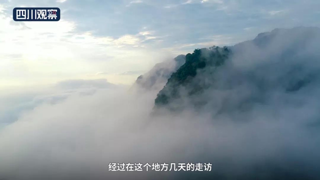 合江：石顶山上云海间，藏有一”江湖“(图3)