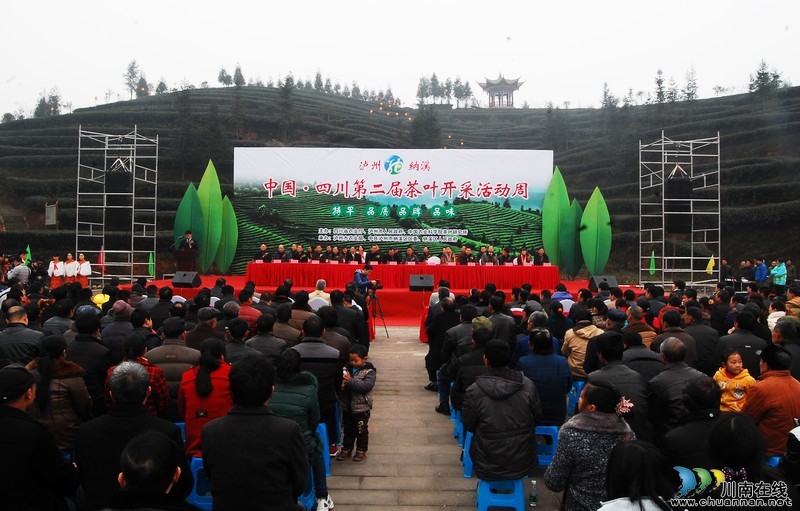 纳溪·采茶节