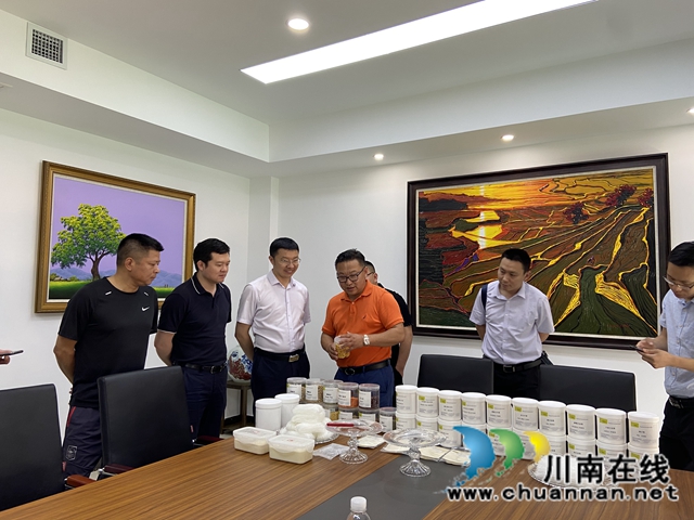 龙马潭区：牢牢把握“时”与“势”，招商引资跑出“加速度”