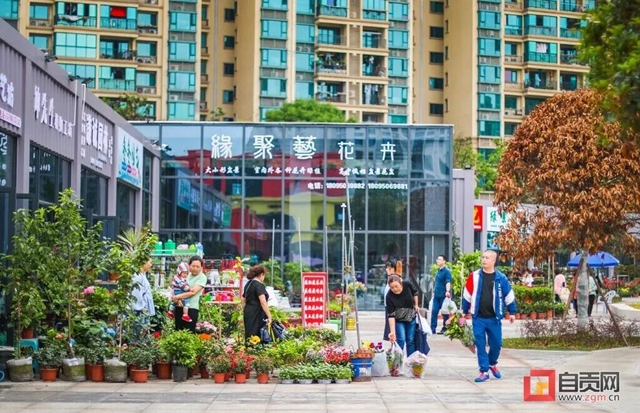 告别脏乱差！自贡这个自发花卉、宠物交易市场要“搬家”啦！