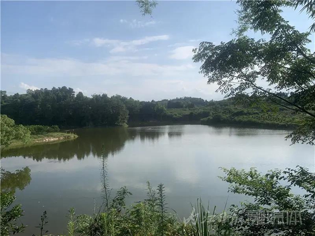 湖光山色两相和，内江这处“宝藏”湖泊太适合夏天出游！