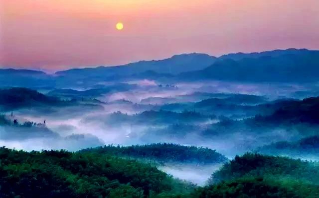 观竹景、赏竹文、品竹食……快来领略宜宾最美竹游风情！