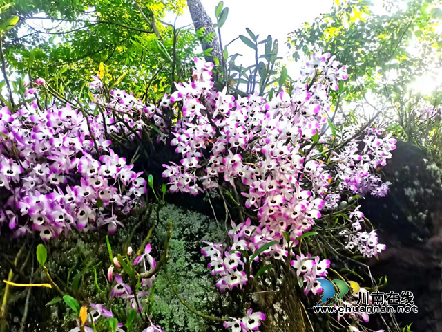 块岩村的蜕变史