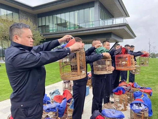 叙永公安解救了66只“小可爱”，这些人将被关进法律的“笼子”！