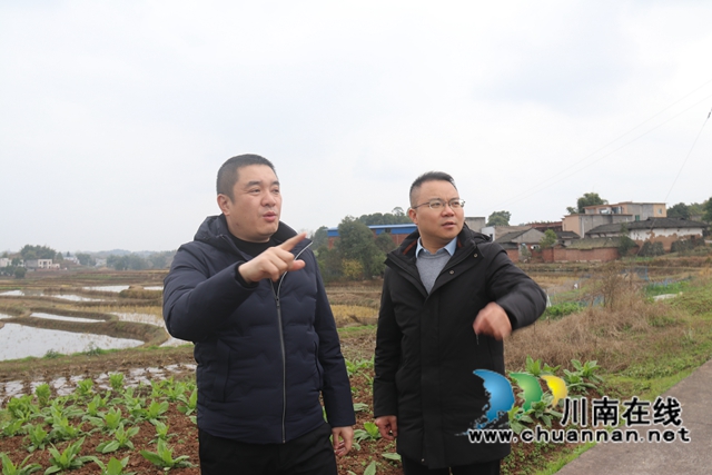 王先奎率队到泸县百和镇调研“东翼”建设工作(图1)