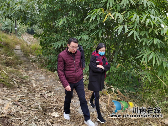 甘露到泸县云龙镇督导元旦节前森林防灭火工作(图1)