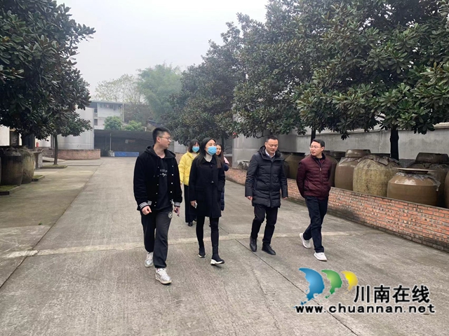 甘露到泸县云龙镇督导节前重点工作(图1)