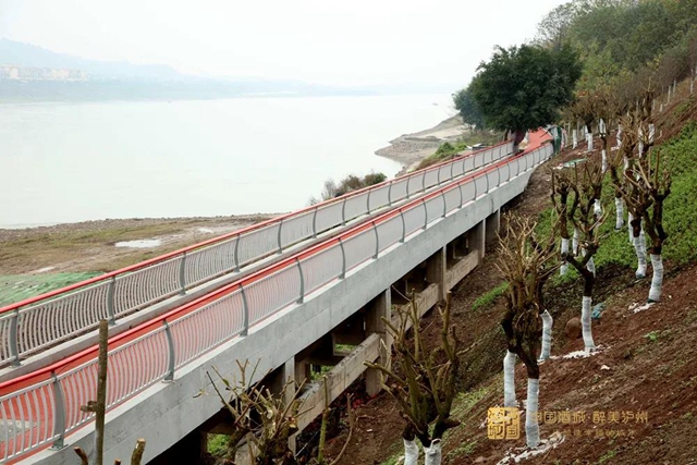 好消息！泸州又一处长江滨江公园即将对市民开放(图1)